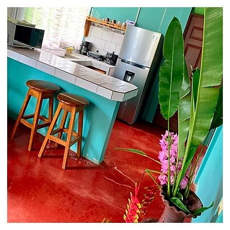 比加瓜Casita El Jardin别墅 外观 照片