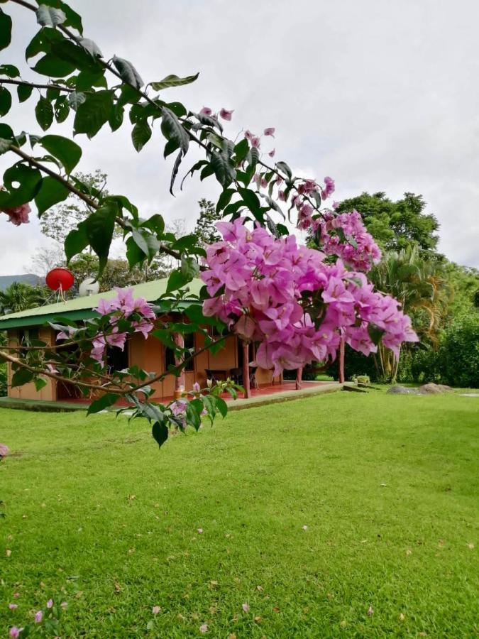 比加瓜Casita El Jardin别墅 外观 照片