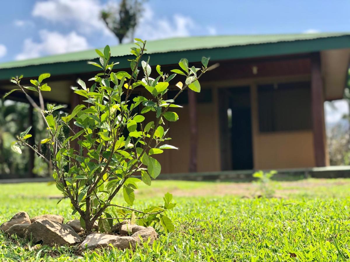比加瓜Casita El Jardin别墅 外观 照片