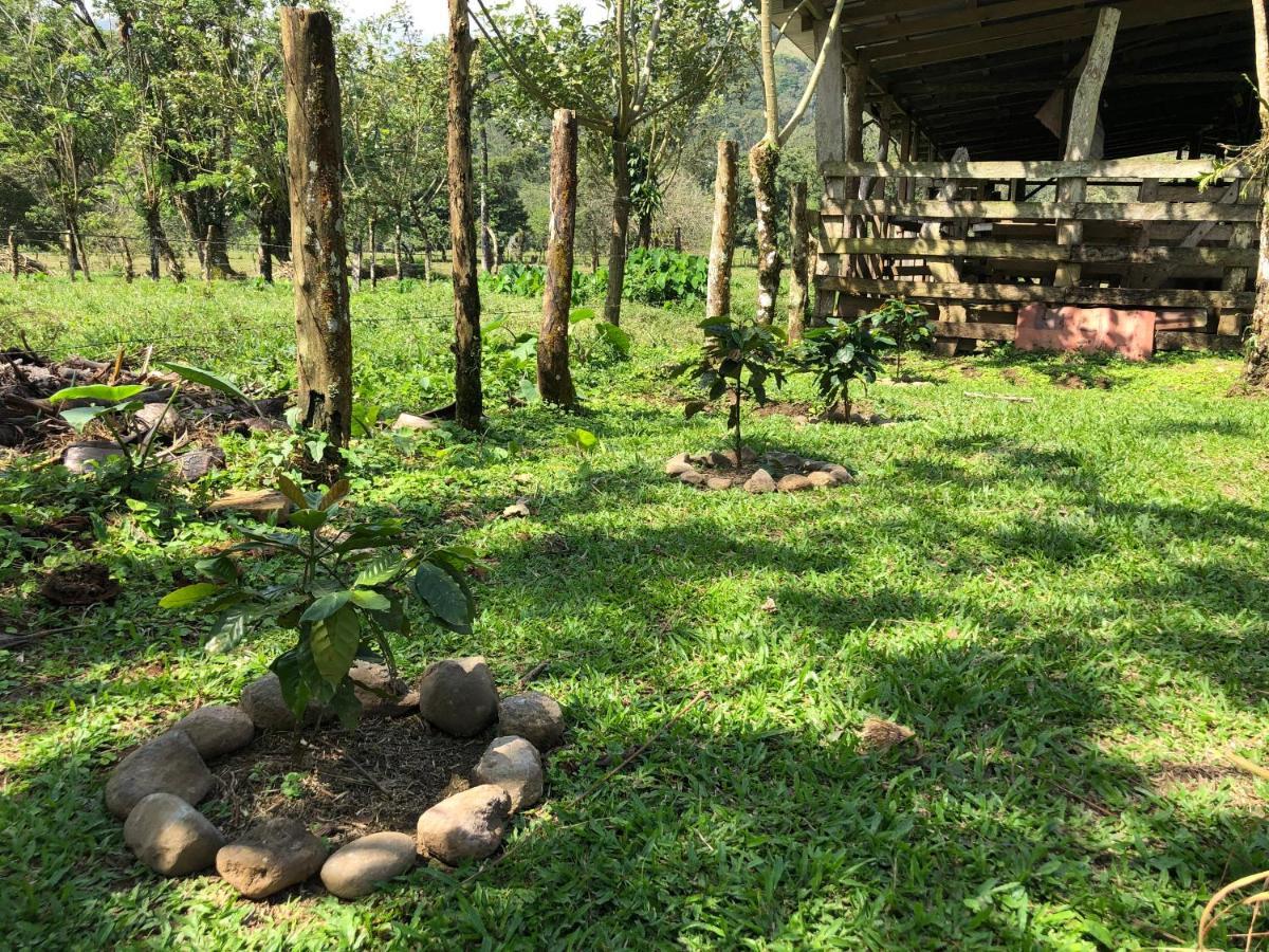 比加瓜Casita El Jardin别墅 外观 照片