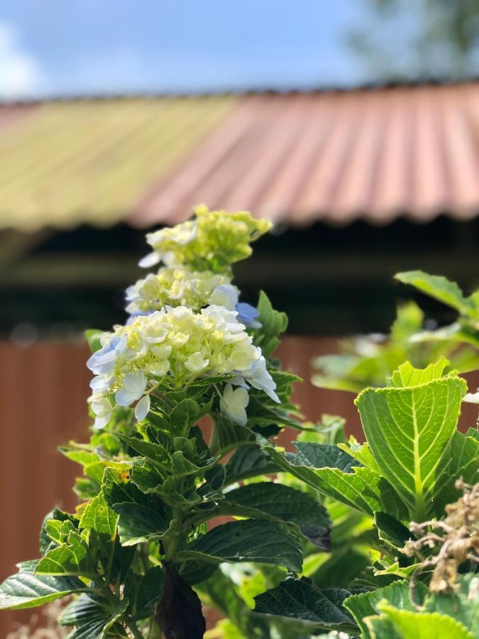 比加瓜Casita El Jardin别墅 外观 照片