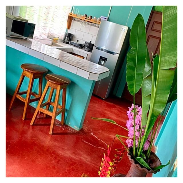 比加瓜Casita El Jardin别墅 外观 照片